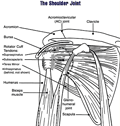 Excel Physiotherapy